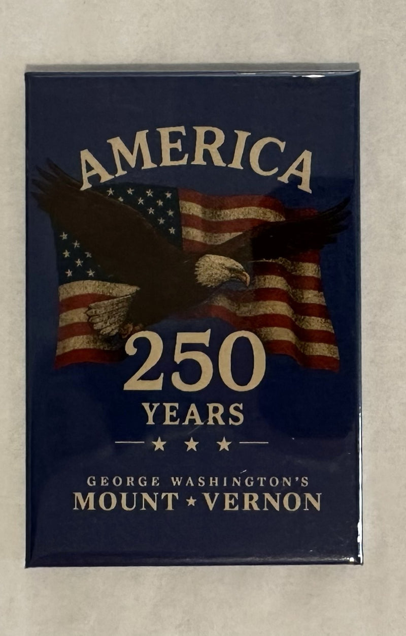 MAGNET MV EAGLE FLAG