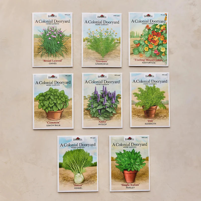 Colonial Dooryard Herb Garden Seed Kit – America’s 250th Anniversary