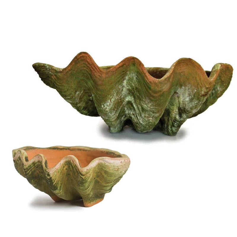 PLANTER SHELL AGED SM