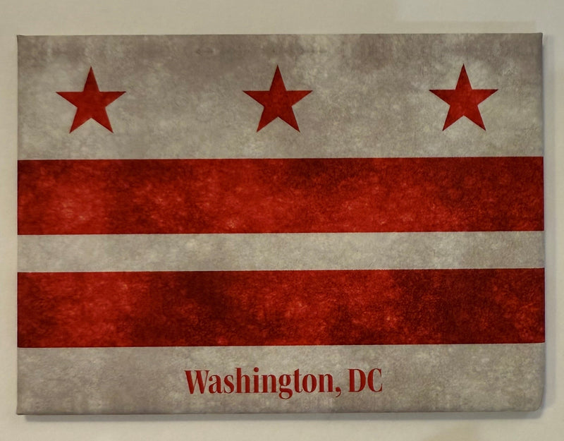 MAGNET WASH DC FLAG