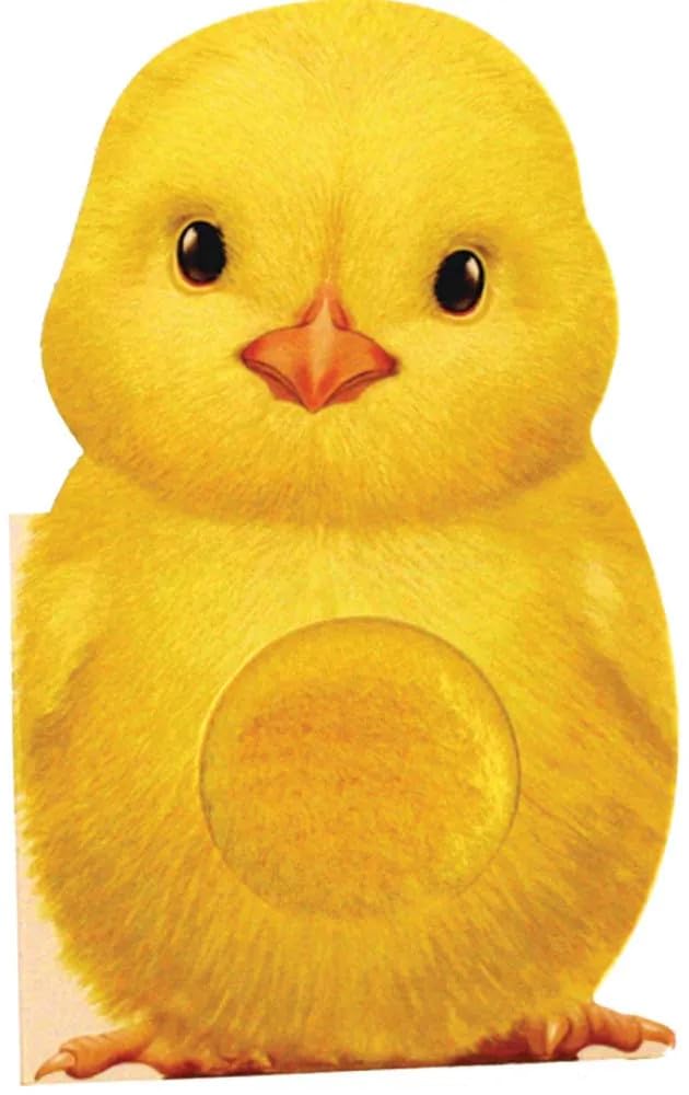 BK FURRY CHICK