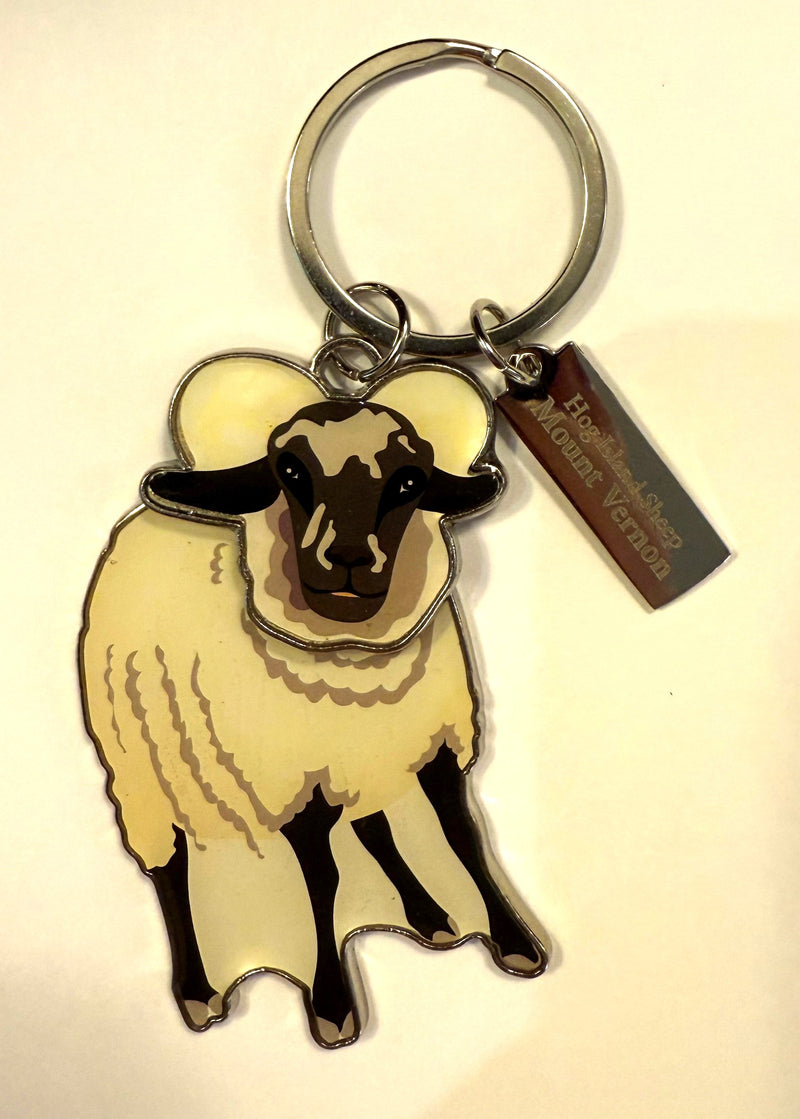 KC HOG ISLAND SHEEP