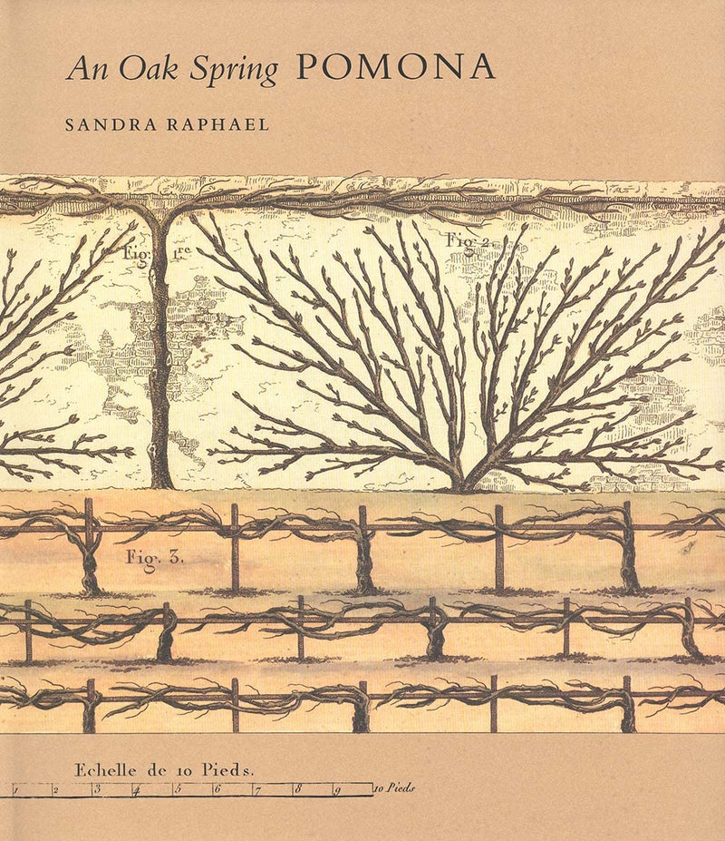 BK OAK SPRING POMONA