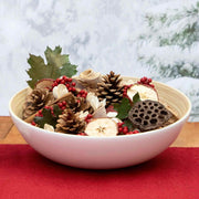 Potpourri Apple Cider Cinnamon