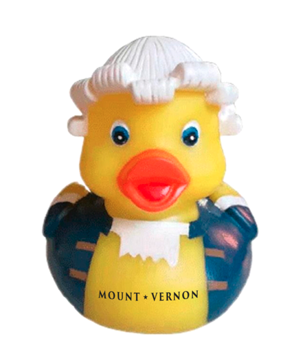 Colonial Duck MV