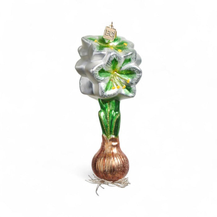 Amaryllis Bulb Ornament - Assorted Colors - The Shops at Mount Vernon