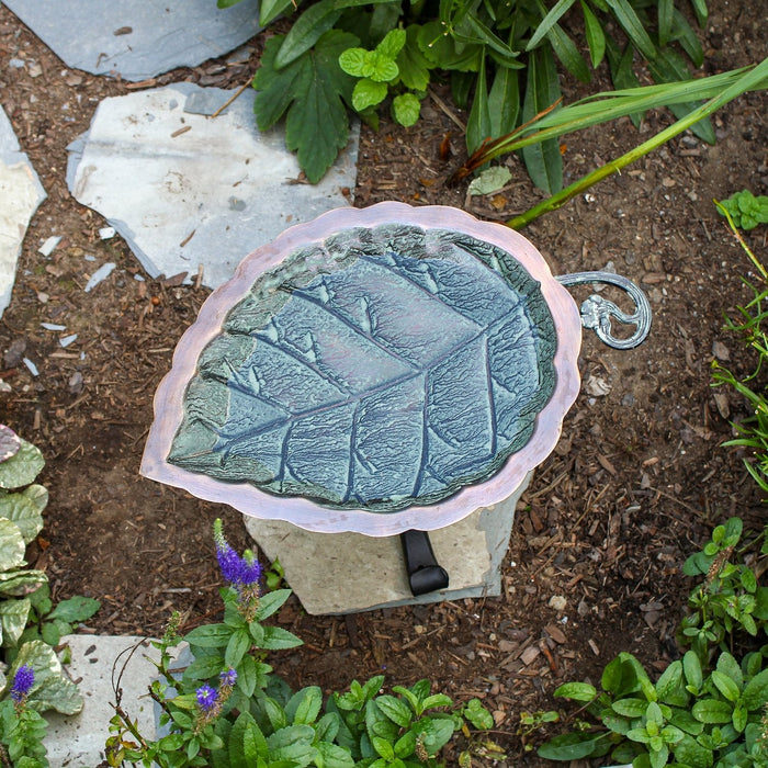 Birdbath Aspen Leaf - Stand Sold Separately - The Shops at Mount Vernon