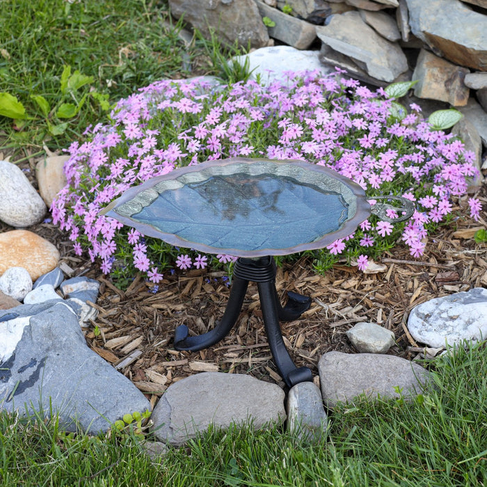 Birdbath Aspen Leaf - Stand Sold Separately - The Shops at Mount Vernon