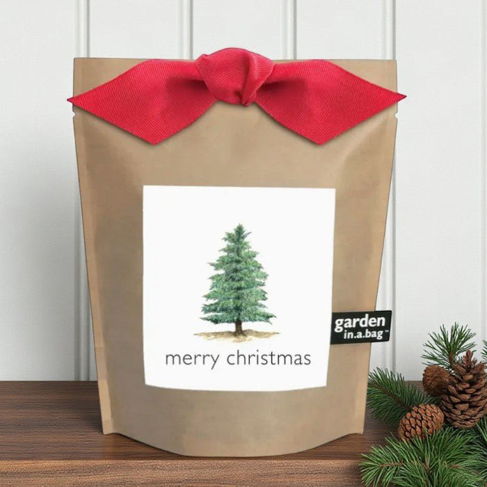 Christmas Tree Grow Kit - The Shops at Mount Vernon