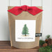 Christmas Tree Grow Kit - The Shops at Mount Vernon
