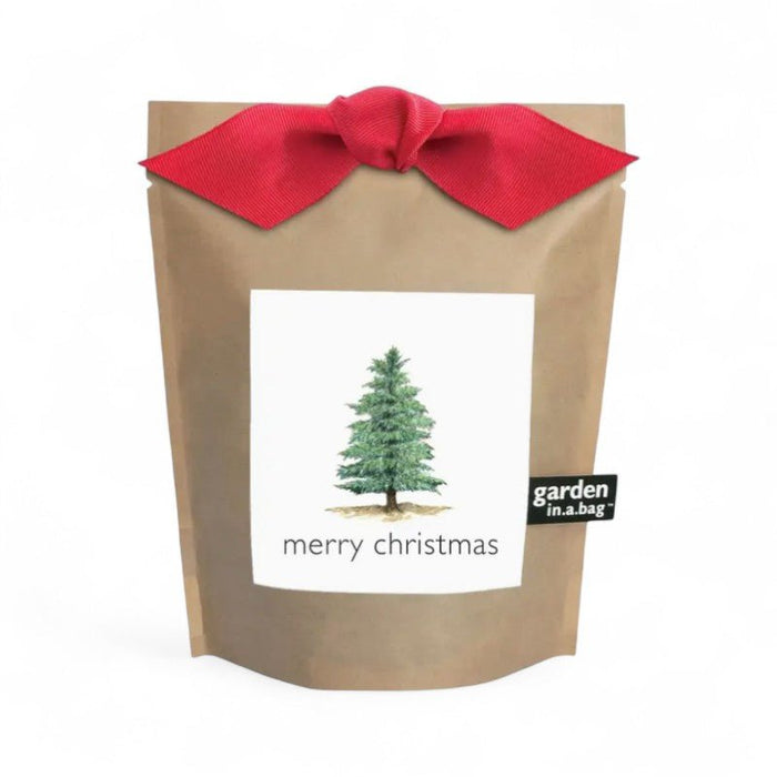 Christmas Tree Grow Kit - The Shops at Mount Vernon