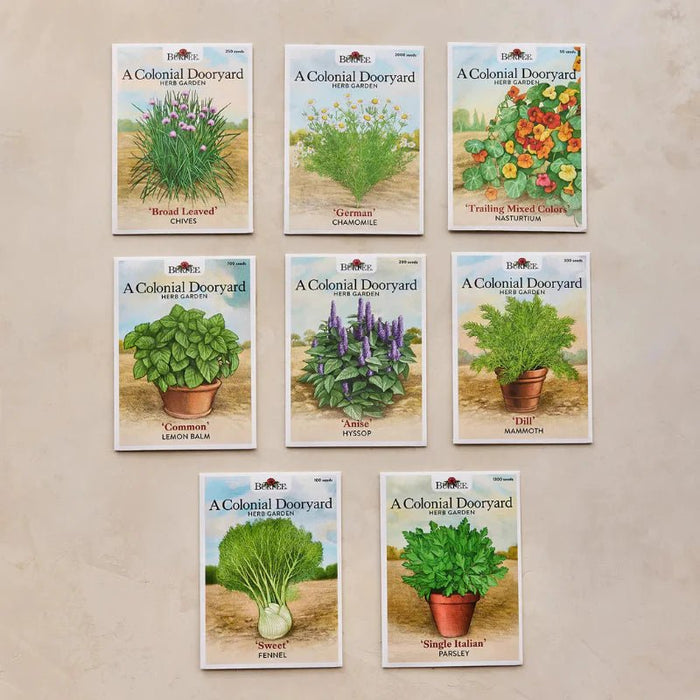 Colonial Dooryard Herb Garden Seed Kit – America’s 250th Anniversary - The Shops at Mount Vernon