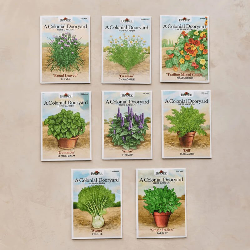 Colonial Dooryard Herb Garden Seed Kit – America's 250th