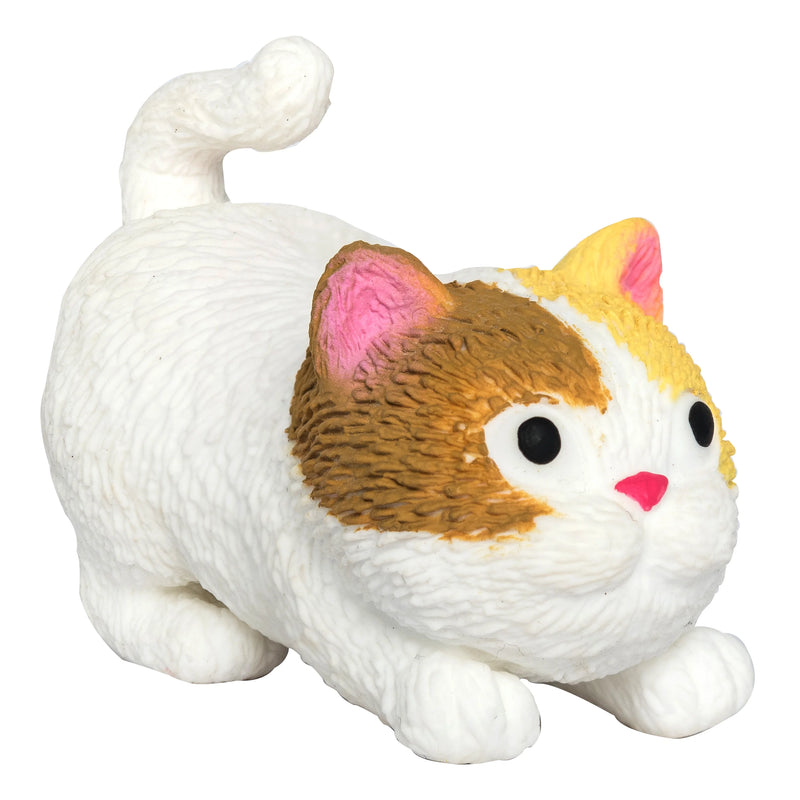 BARNYARD CATS
