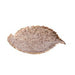 Leaf Plate - Natural Cream Stoneware - The Shops at Mount Vernon