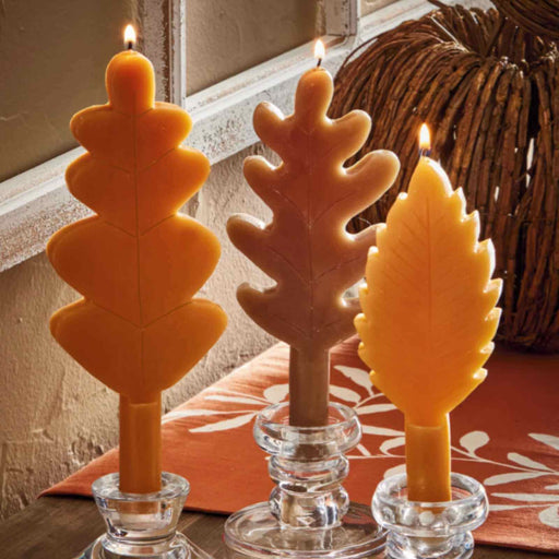 Leaf Taper Candle S/3 - The Shops at Mount Vernon