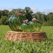 Luke Adams Autumn Green Pumpkin - Assorted Sizes - The Shops at Mount Vernon