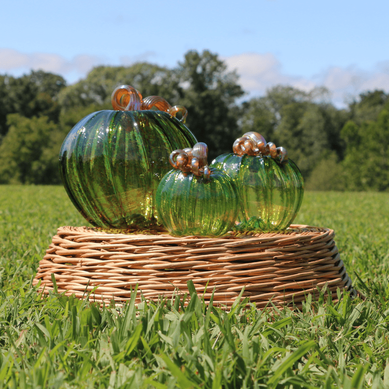 Luke Adams Autumn Green Pumpkin - Assorted Sizes - The Shops at Mount Vernon