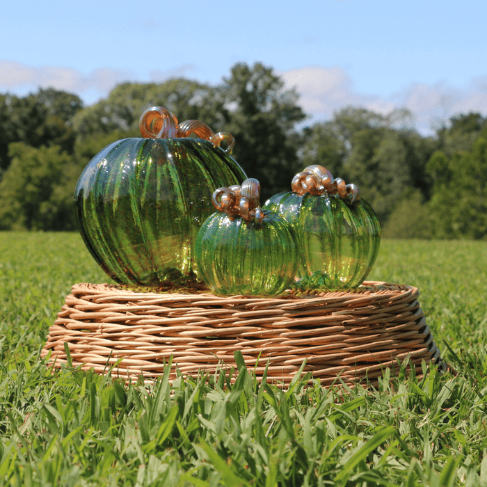 Luke Adams Autumn Green Pumpkin - Assorted Sizes - The Shops at Mount Vernon