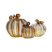 Luke Adams Cinnamon Sugar Glass Pumpkins - Assorted Sizes - The Shops at Mount Vernon