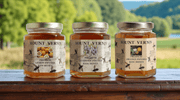 Mount Vernon Honey Trio - The Shops at Mount Vernon
