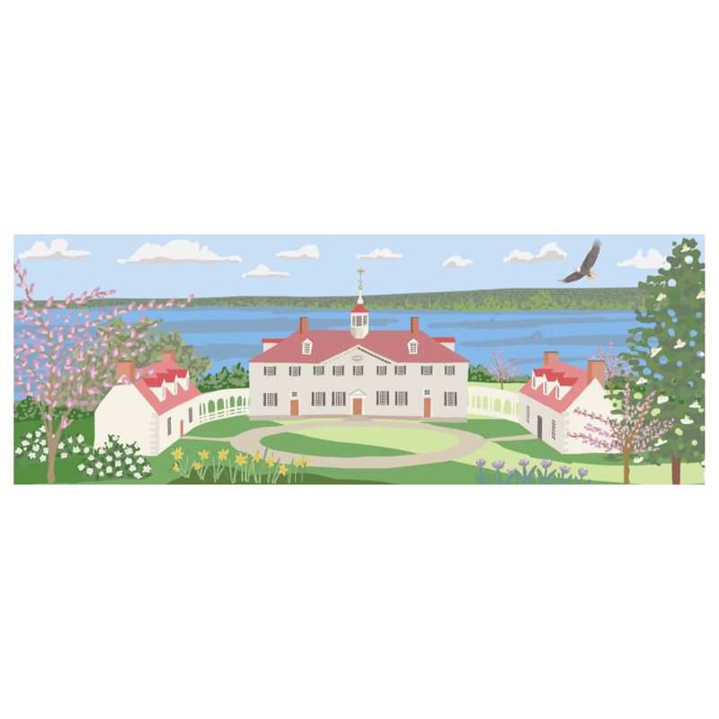 Mount Vernon Scarf - The Shops at Mount Vernon