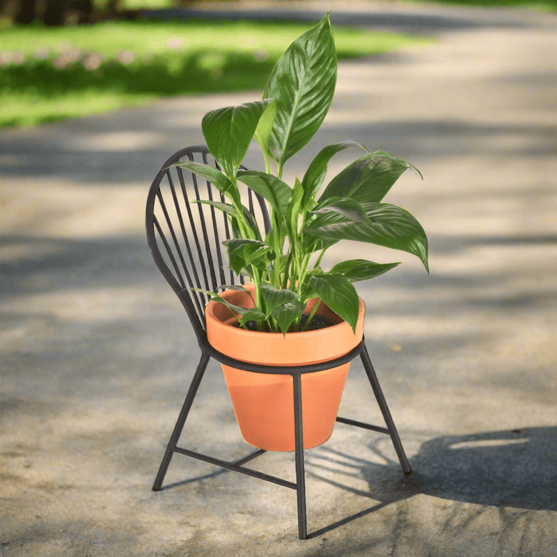 Mount Vernon Windsor Chair Planter - The Shops at Mount Vernon