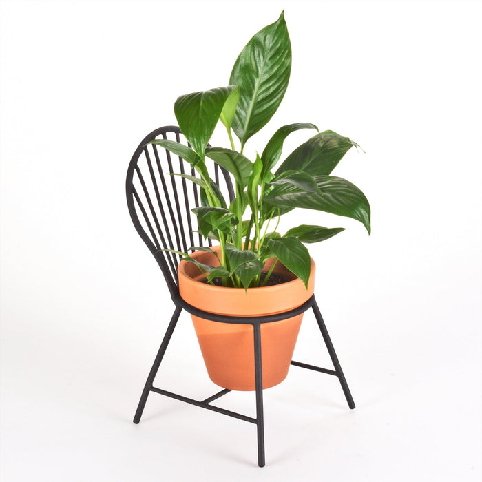 indoor plants windsor Mount Vernon Windsor Chair Planter The Shops at Mount Vernon