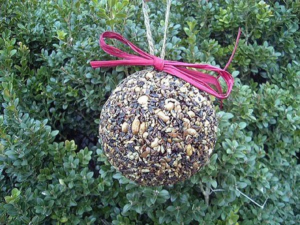 Mr. Bird Seed and Nut Ornaments - The Shops at Mount Vernon