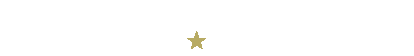 Mount Vernon Logo White Star