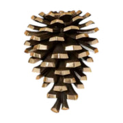 Pinecone Door Knocker - The Shops at Mount Vernon