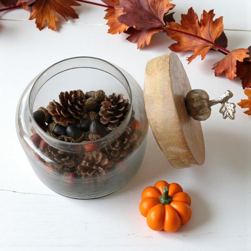 Pumpkin Glass Canister - The Shops at Mount Vernon