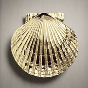 Scallop Door Knocker - The Shops at Mount Vernon