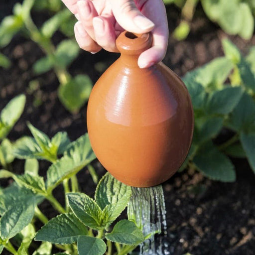 Thumb Watering Can - The Shops at Mount Vernon