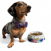 Tobacco Leaf Pet Bowl - Pet Dish - The Shops at Mount Vernon