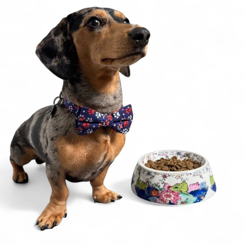 Tobacco Leaf Pet Bowl - Pet Dish - The Shops at Mount Vernon