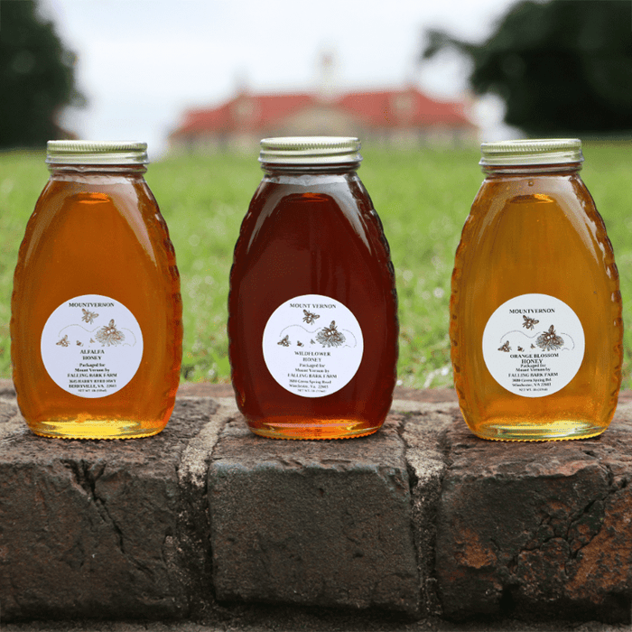 Virginia Alfalfa Infused Honey - The Shops at Mount Vernon
