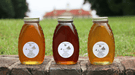 Virginia Alfalfa Infused Honey - The Shops at Mount Vernon