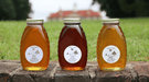 Virginia Wildflower Honey - The Shops at Mount Vernon