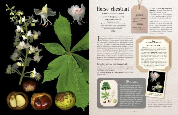 100 Plants That Heal - The Shops at Mount Vernon