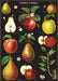 Apples and Pears Tea Towel - Cavallini Papers & Co. Inc - The Shops at Mount Vernon