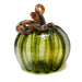 Autumn Green Pumpkin - Assorted Sizes - The Shops at Mount Vernon