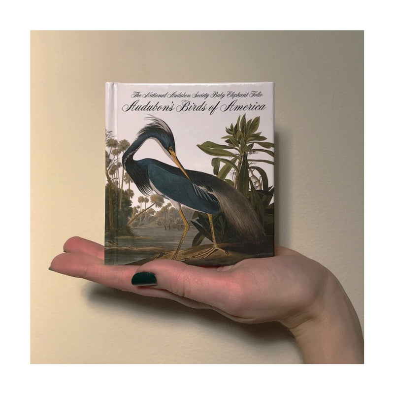 Birds of America - Tiny Folio - W.W. NORTON & CO. - The Shops at Mount Vernon