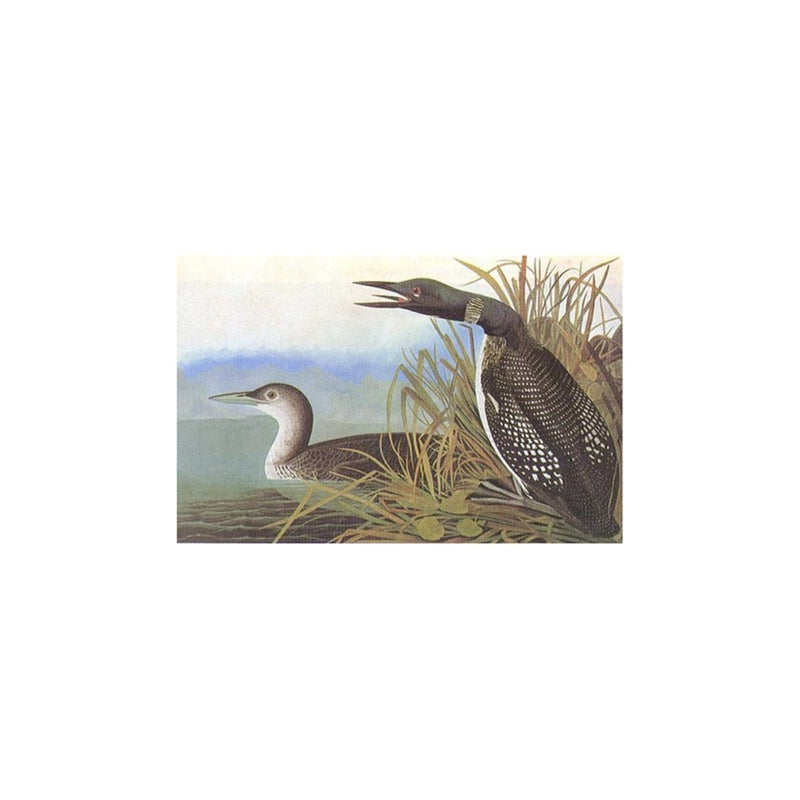 Birds of America - Tiny Folio - W.W. NORTON & CO. - The Shops at Mount Vernon