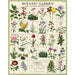Botanic Garden Vintage Puzzle - Cavallini Papers & Co. Inc - The Shops at Mount Vernon