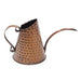 Copper Watering Can - Achla Designs - The Shops at Mount Vernon