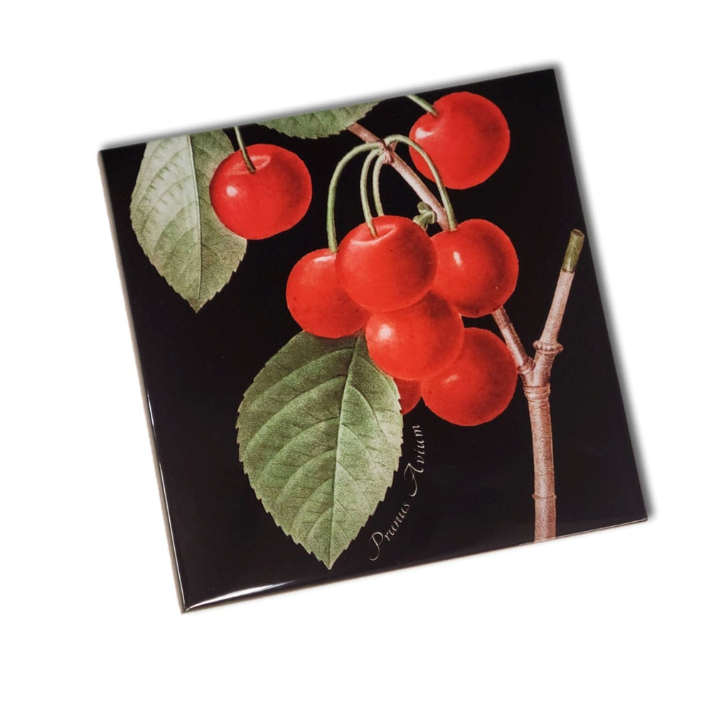 Eco-friendly Swedish Dishcloth - Cherries_ The Shops at Mount Vernon