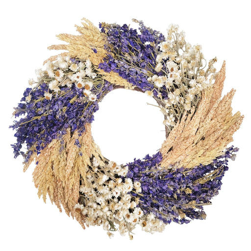 Dried Botanicals Wreath - Larkspur Daisy Swirl - 16" - FLORAL TREASURE - The Shops at Mount Vernon