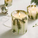Frasier Fir Candle - Thymes - The Shops at Mount Vernon