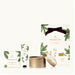 Frasier Fir Holiday Gift Set - Thymes - The Shops at Mount Vernon